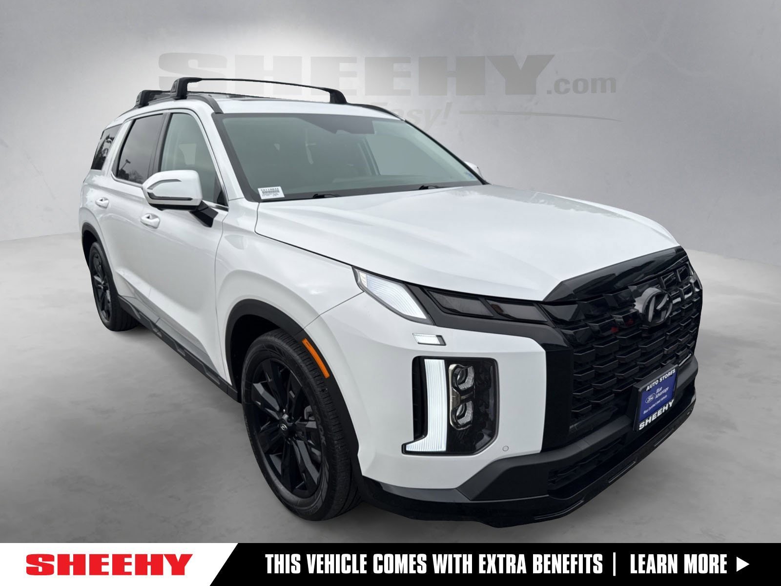 Used 2025 Hyundai Palisade XRT image 1