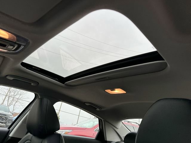 Used 2023 Hyundai Elantra Limited w/ Cargo Package image 18