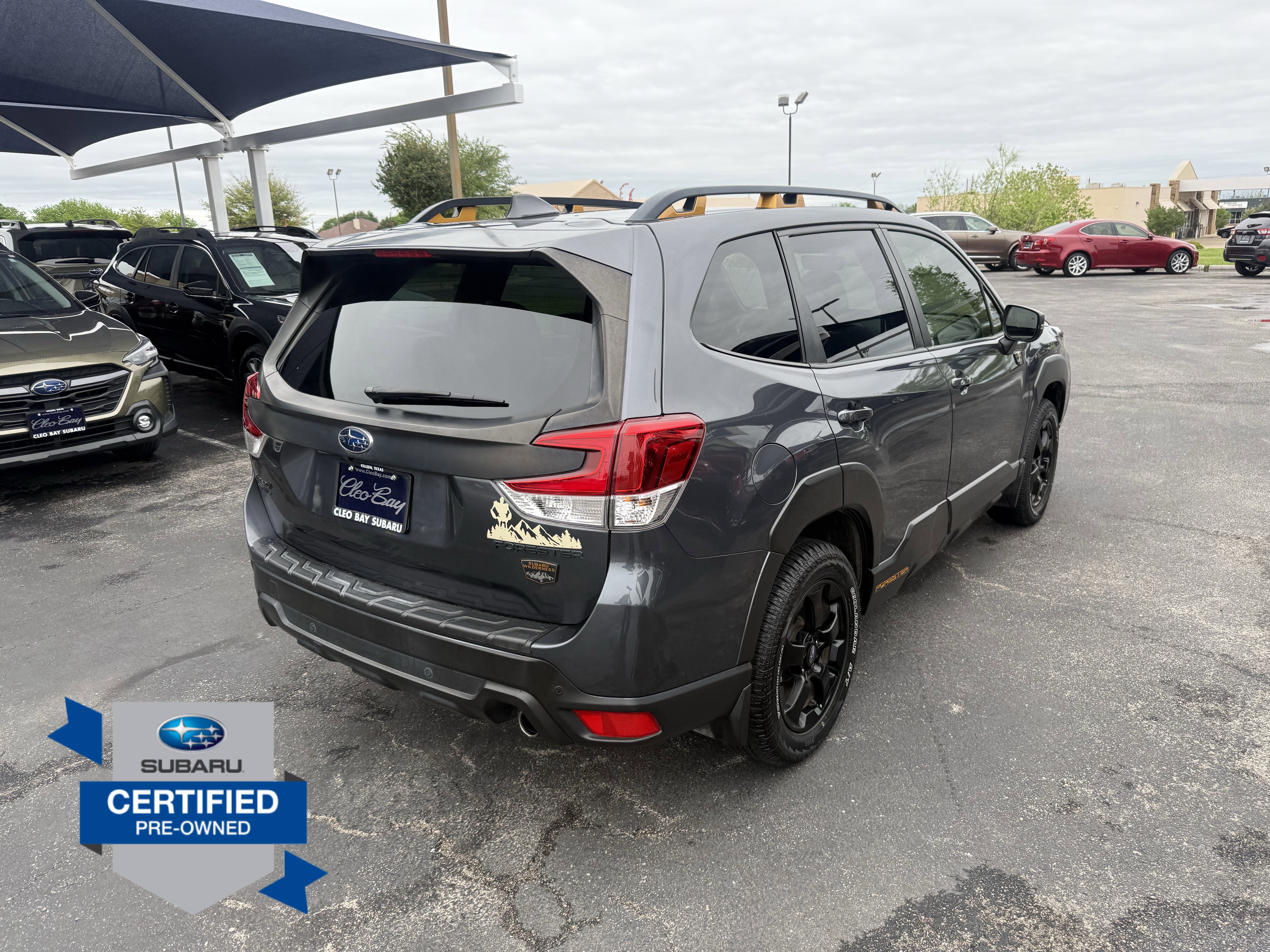 Used 2022 Subaru Forester Wilderness w/ Wilderness Package AWD/4WD image 7