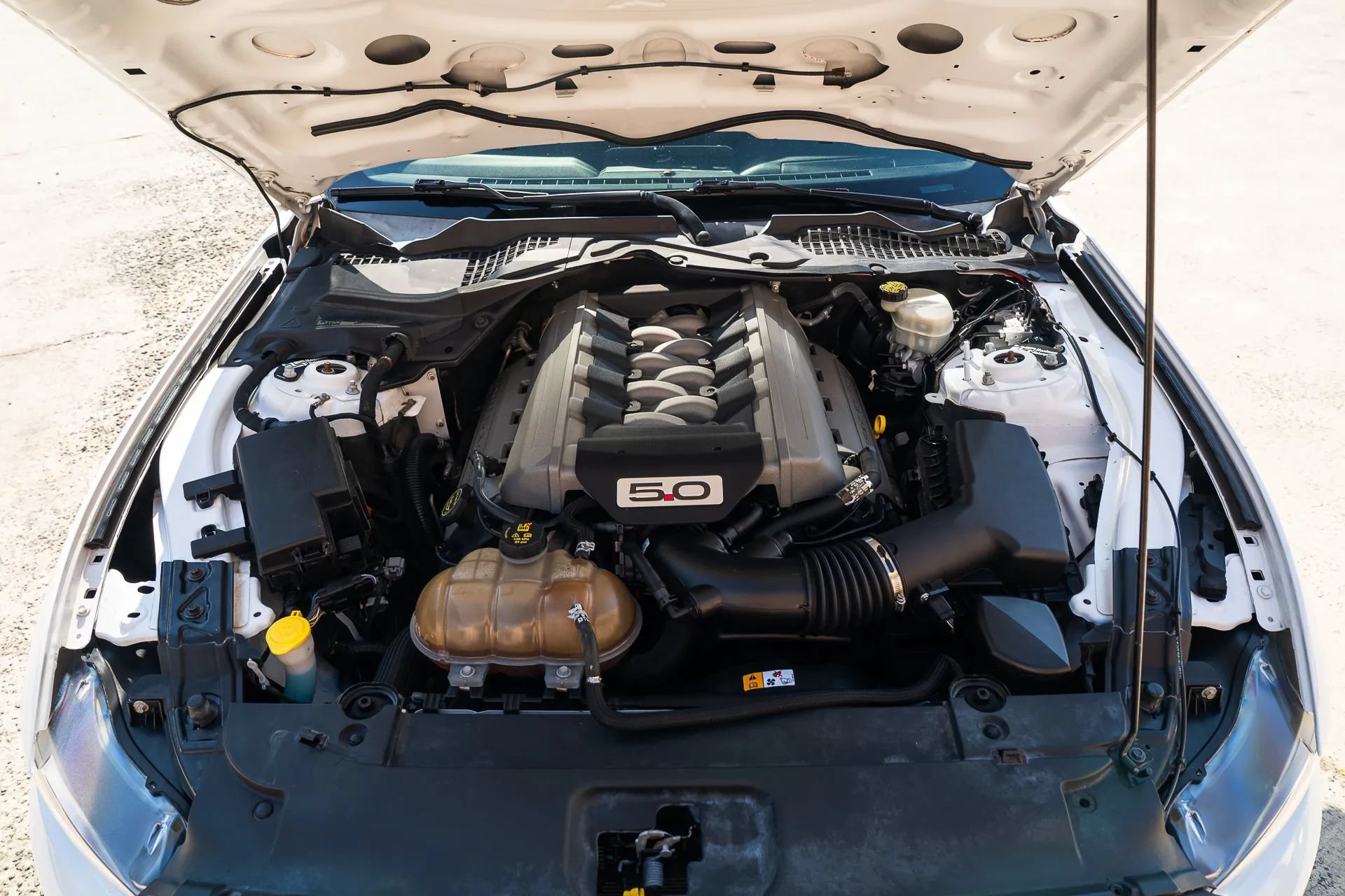 Used 2015 Ford Mustang GT RWD image 15