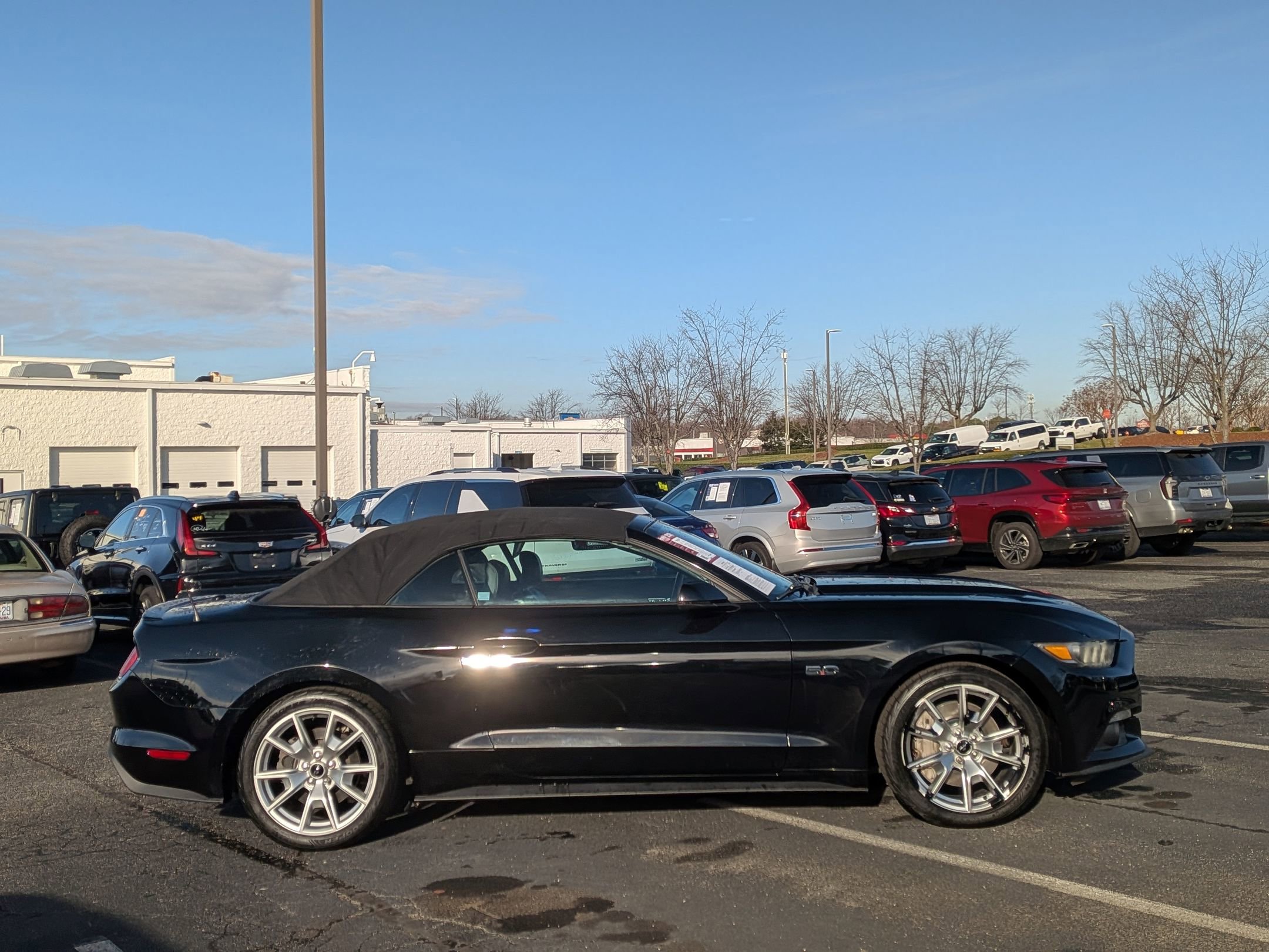 Used 2015 Ford Mustang GT Premium w/ Equipment Group 401A image 10