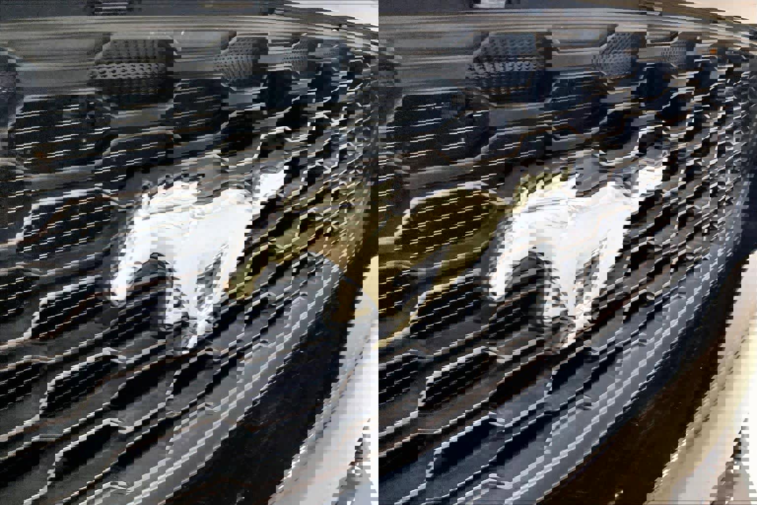 Used 2017 Ford Mustang Premium image 9