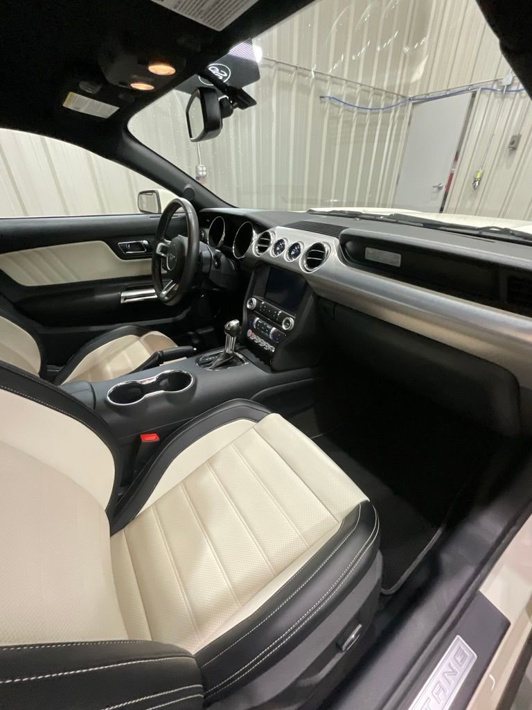 Used 2015 Ford Mustang 50 Years image 14