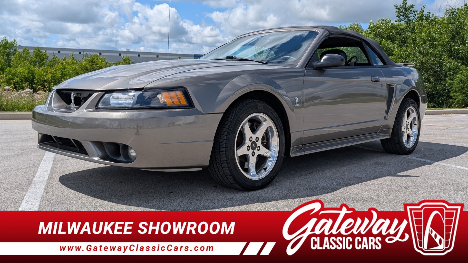 Used 2001 Ford Mustang Cobra image 1