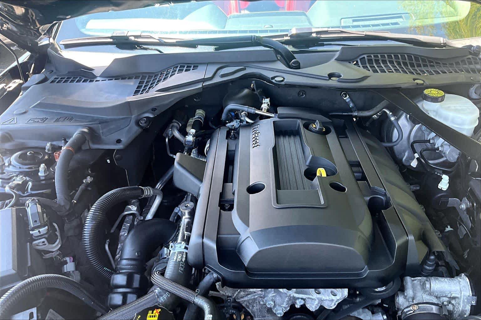 Used 2019 Ford Mustang Premium w/ Equipment Group 201A RWD image 31