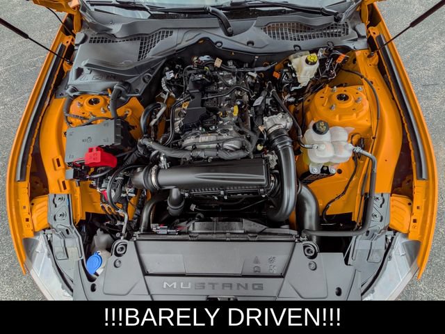 Used 2026 Ford Mustang Coupe RWD image 21
