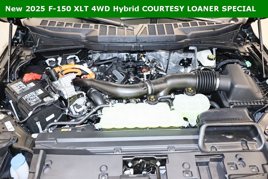 New 2025 Ford F150 XLT w/ Equipment Group 302A MID image 32