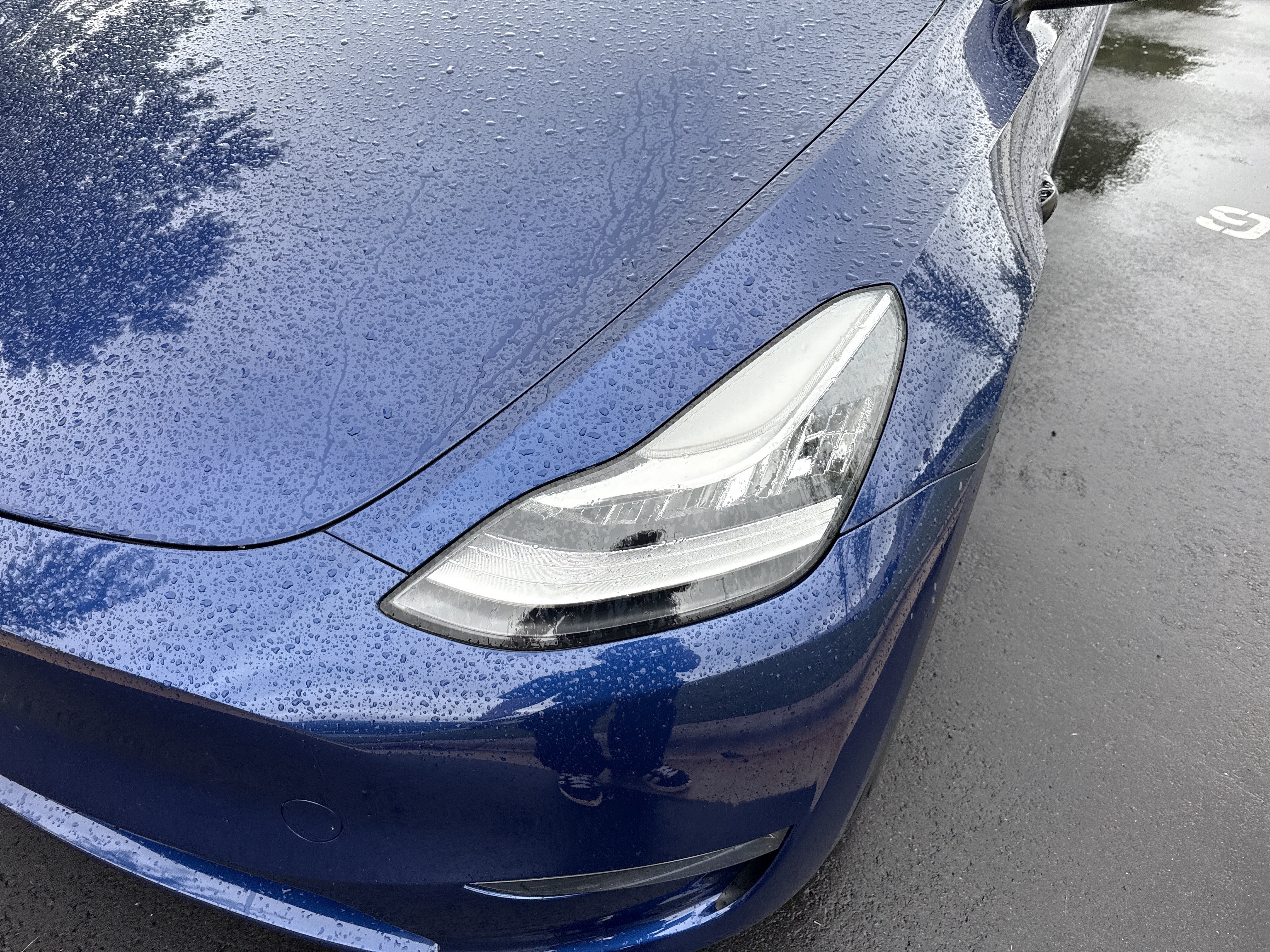 Used 2023 Tesla Model Y Long Range AWD/4WD image 6