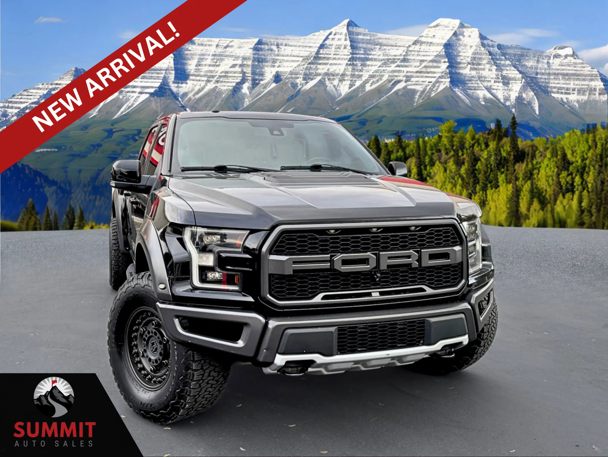 Used 2018 Ford F150 Raptor w/ Equipment Group 802A Luxury