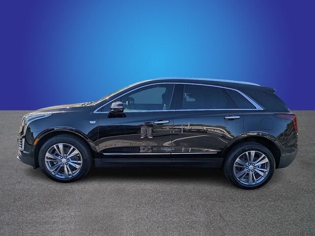 New 2026 Cadillac XT5 Premium Luxury AWD/4WD image 7