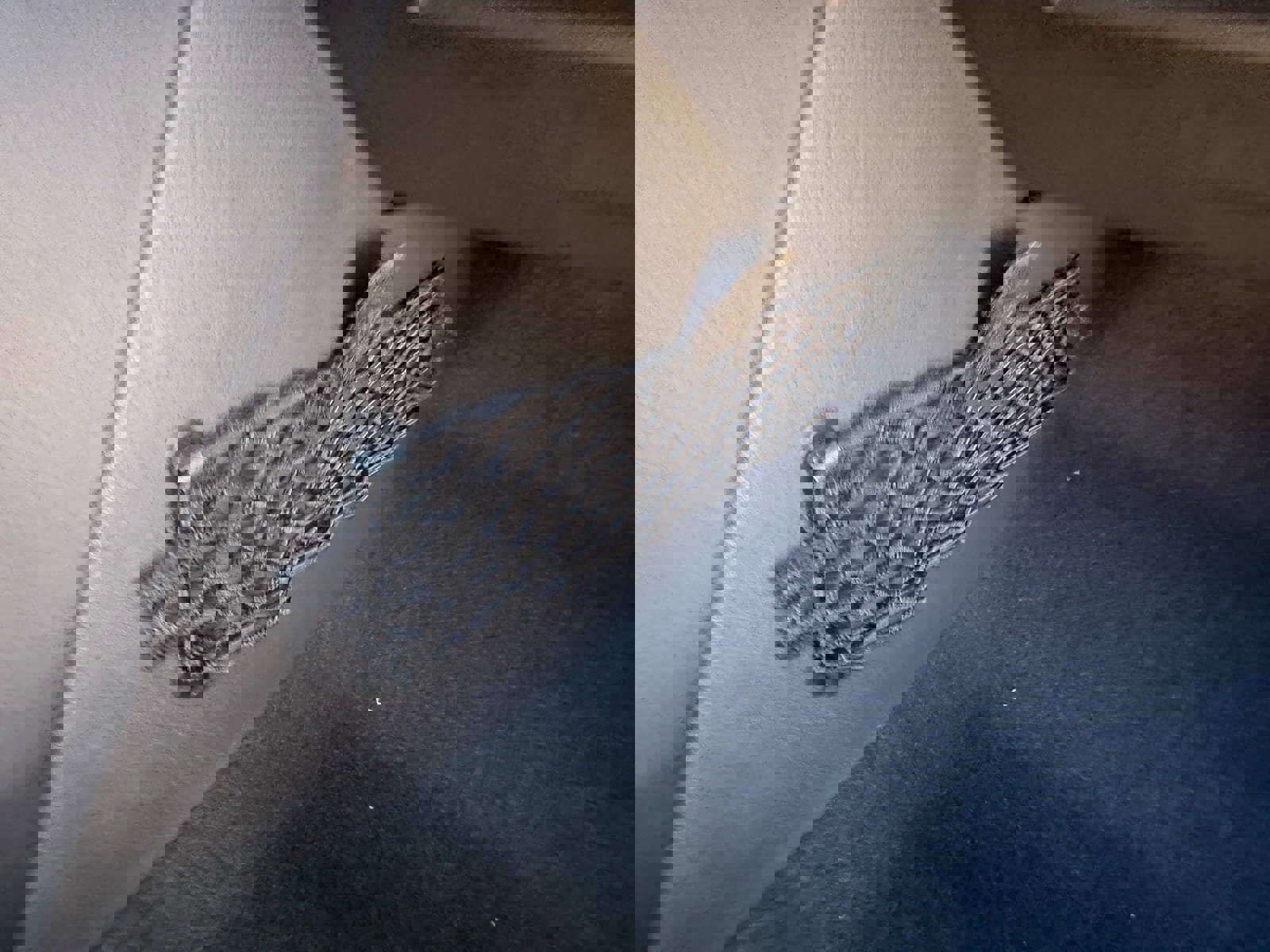 New 2025 Nissan Pathfinder SV w/ Cargo Package image 14