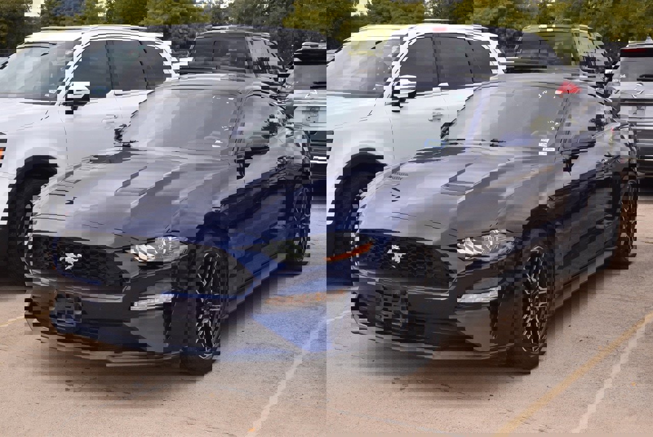 Used 2019 Ford Mustang Coupe w/ Equipment Group 101A