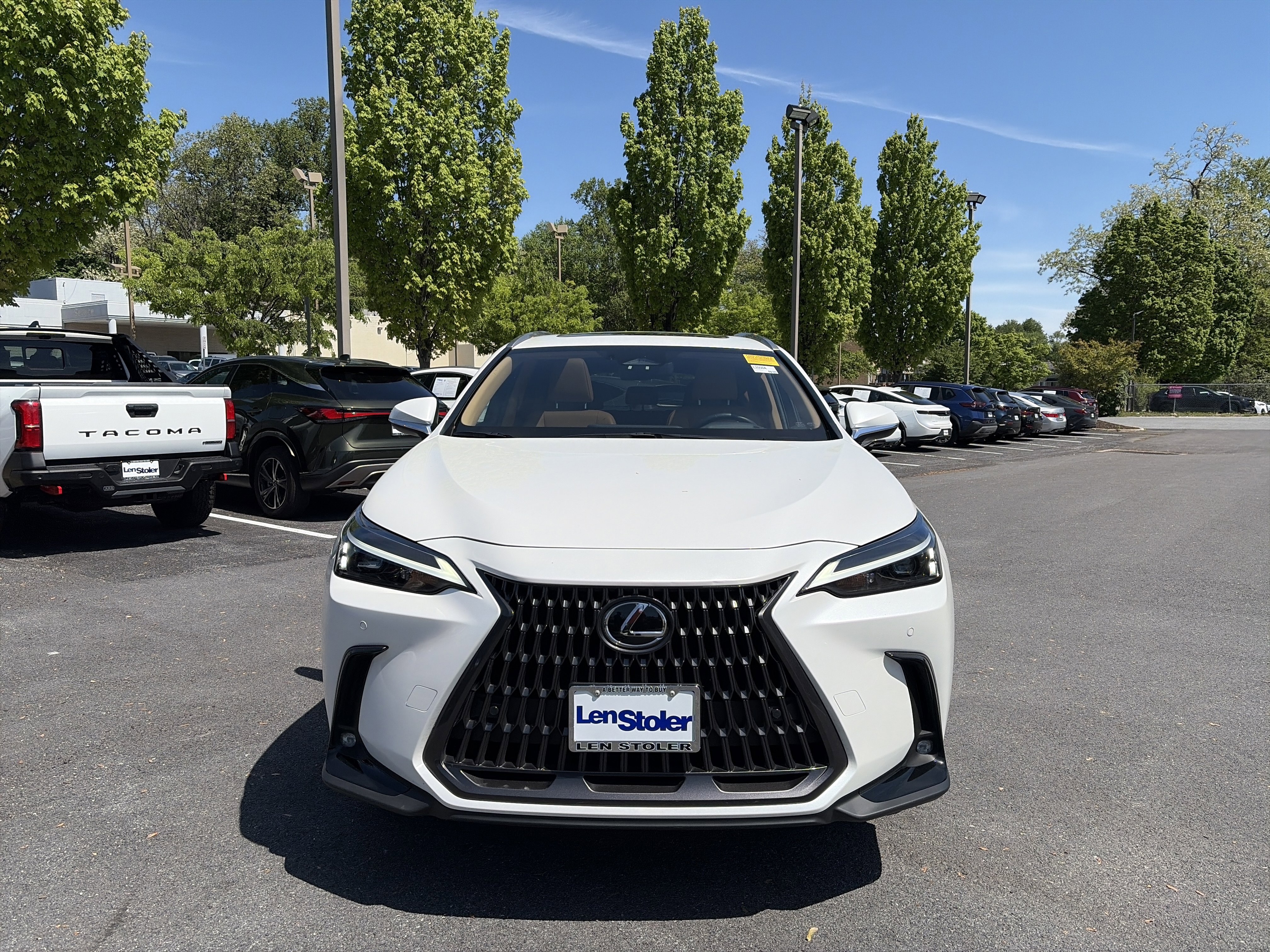 Used 2024 Lexus NX 350h AWD image 8