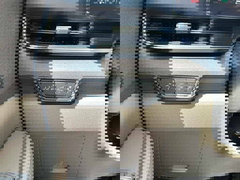 New 2026 Kia Carnival SX image 29