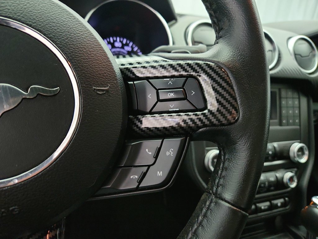 Used 2019 Ford Mustang Coupe RWD image 19