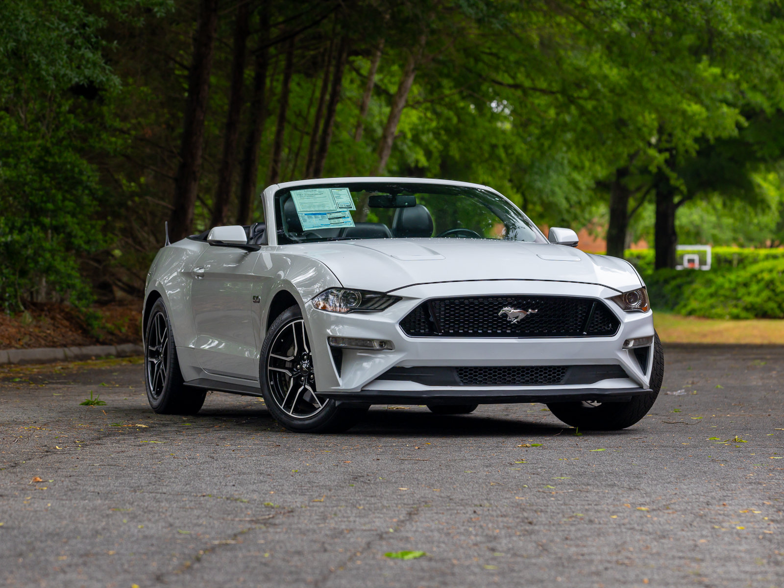 Used 2019 Ford Mustang GT Premium w/ Equipment Group 401A RWD image 1