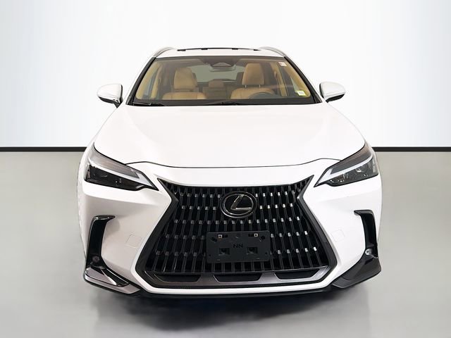 Certified 2024 Lexus NX 350 AWD w/ Cold Area Package image 2