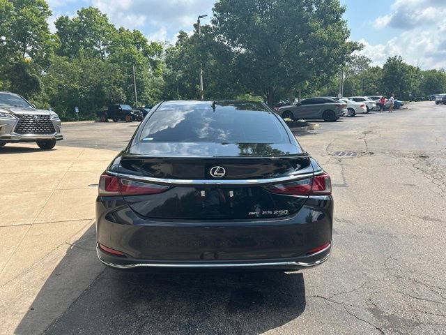 Certified 2023 Lexus ES 250 w/ Premium Package AWD/4WD image 6