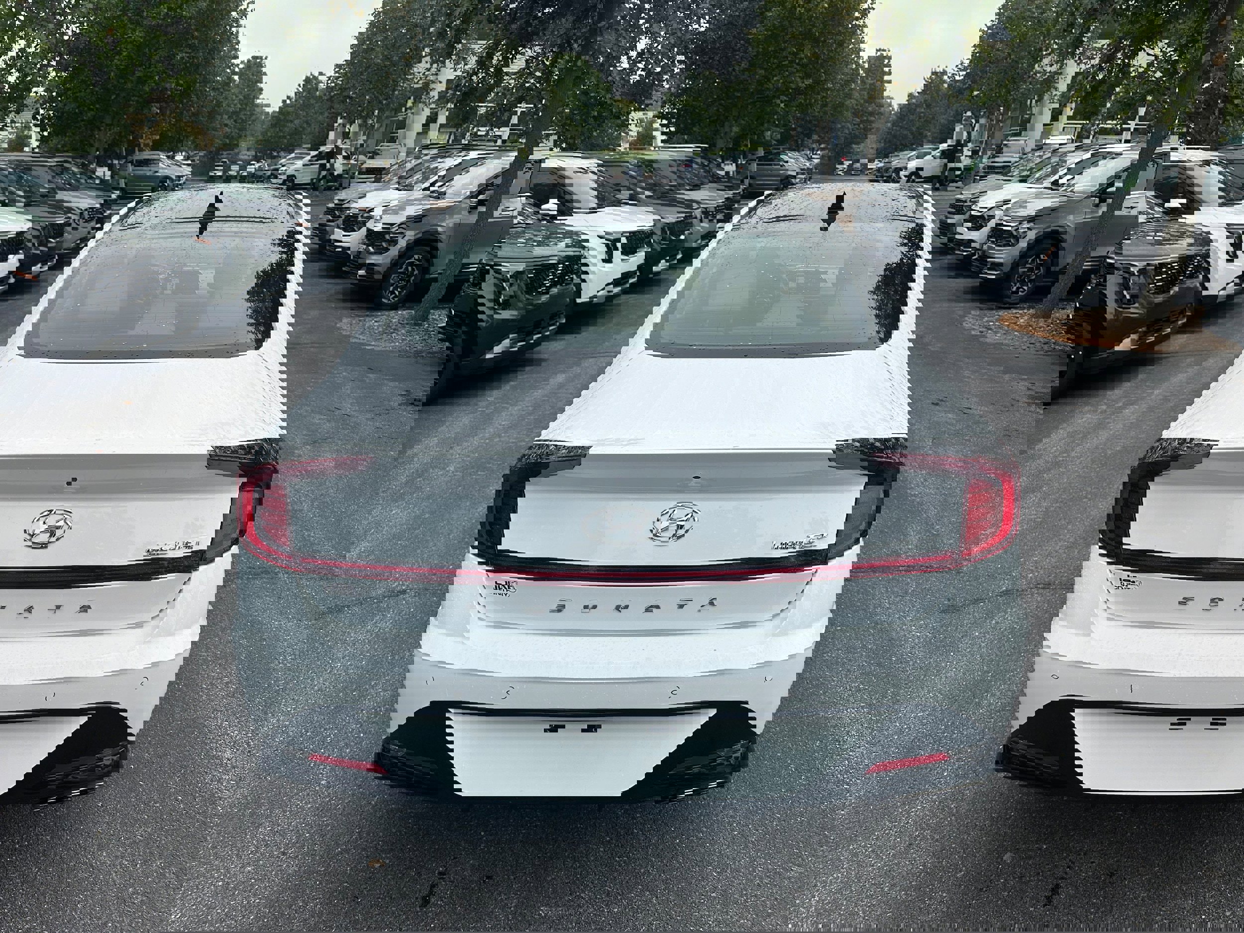 Used 2021 Hyundai Sonata Limited image 6