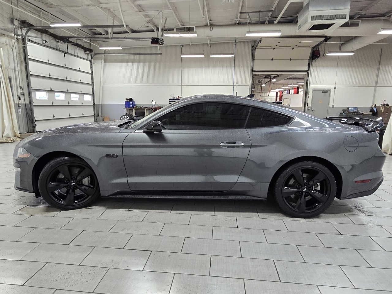 Used 2023 Ford Mustang GT w/ Mustang Nite Pony Package RWD image 9