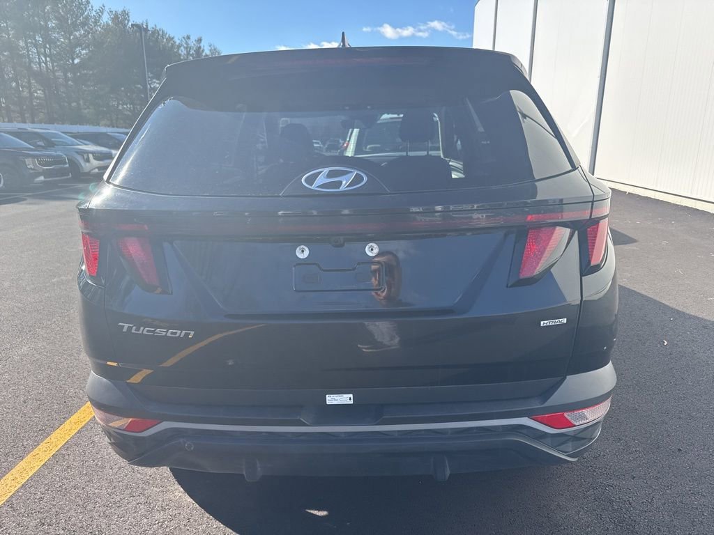 Used 2024 Hyundai Tucson SEL image 4