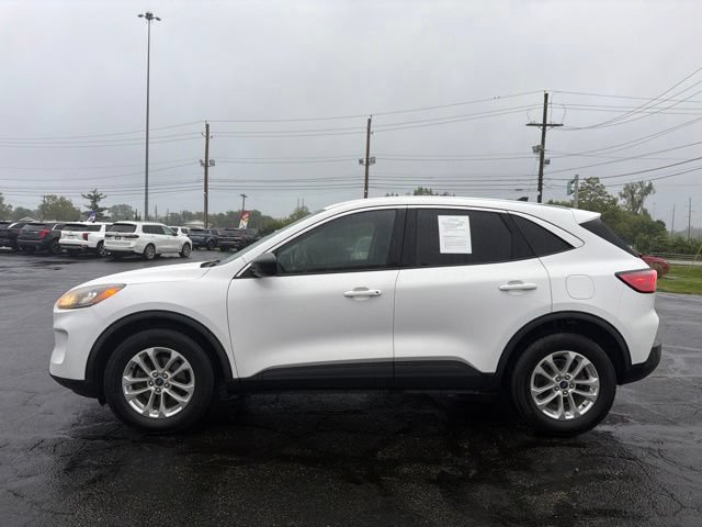 Used 2022 Ford Escape SE AWD/4WD image 4
