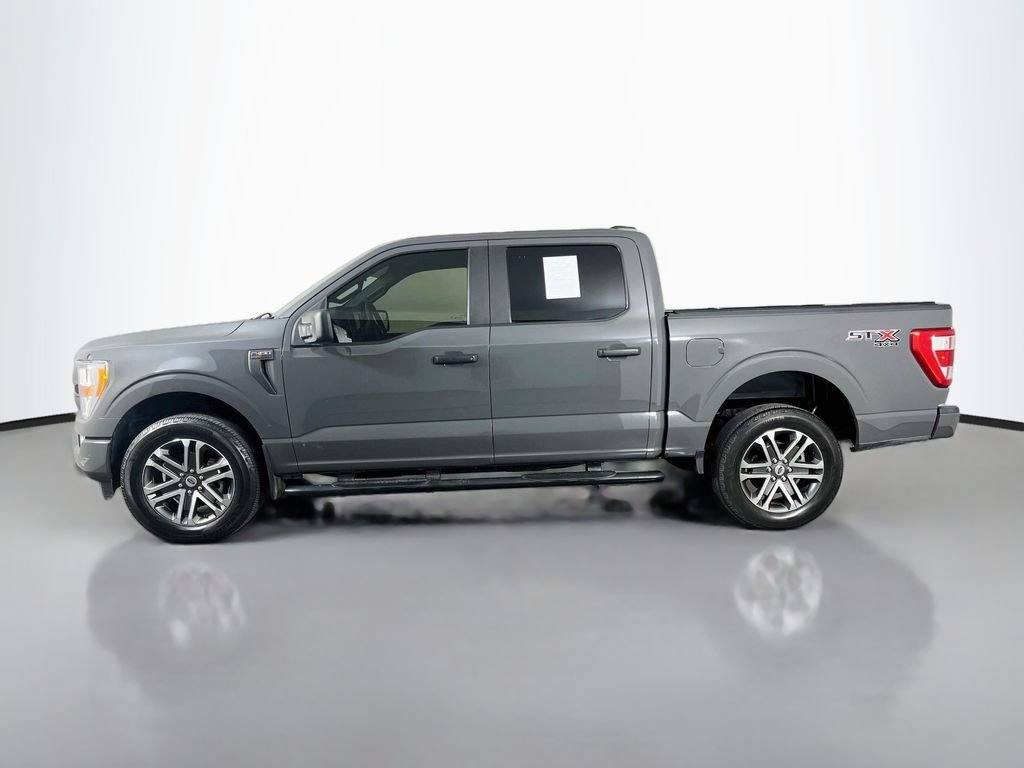 Used 2021 Ford F150 XL w/ STX Appearance Package AWD/4WD image 5