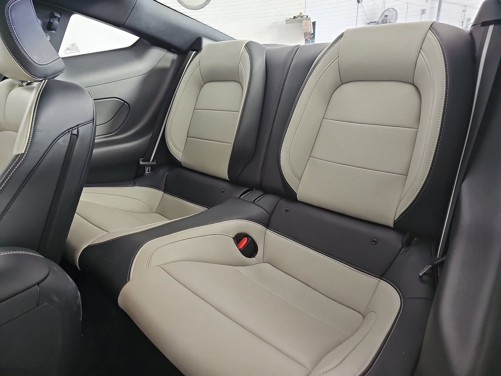 Used 2024 Ford Mustang Premium RWD image 13