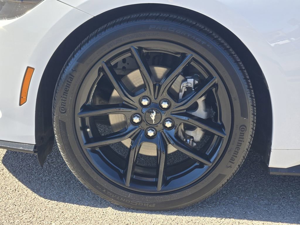 Used 2024 Ford Mustang Premium w/ Mustang Nite Pony Package image 12