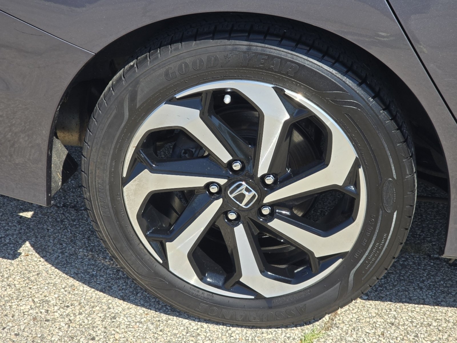 Used 2017 Honda Accord EX-L image 11
