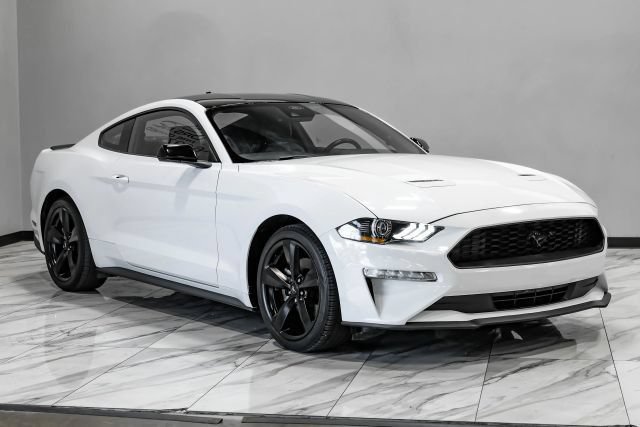 Used 2023 Ford Mustang Premium w/ Mustang Nite Pony Package RWD image 5