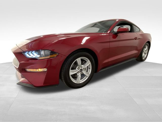 Used 2023 Ford Mustang EcoBoost image 5
