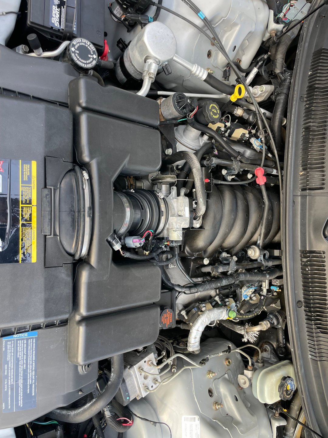 Used 2000 Pontiac Firebird Trans Am image 7