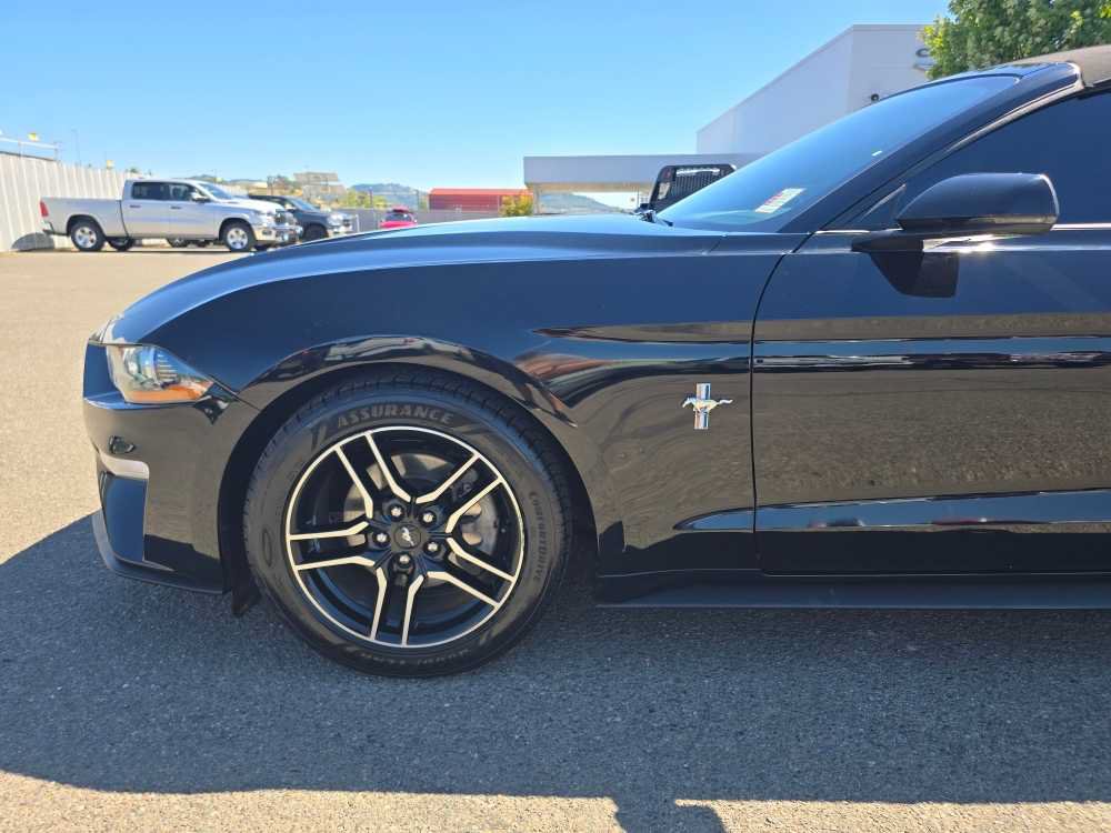 Used 2019 Ford Mustang Premium RWD image 17