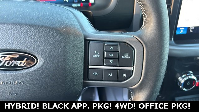 New 2025 Ford F150 XLT w/ Equipment Group 302A MID image 12