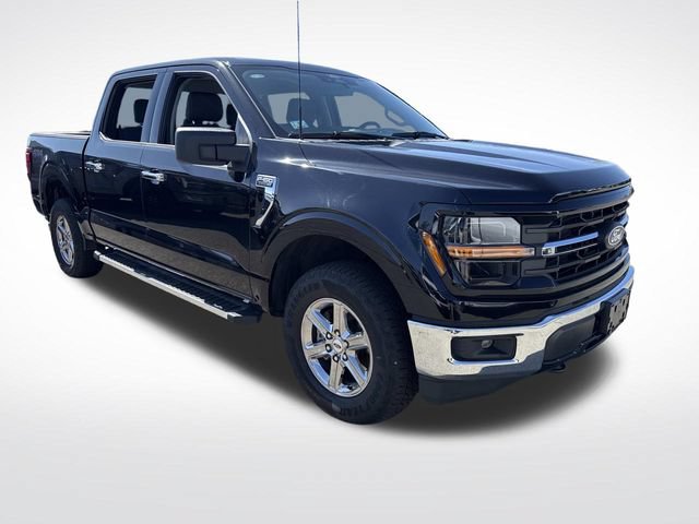 Used 2025 Ford F150 XLT w/ Equipment Group 301A Standard AWD/4WD image 7