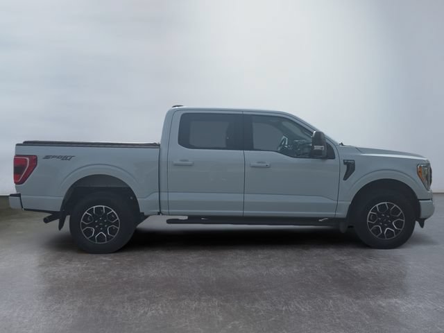 Used 2023 Ford F150 XLT w/ Equipment Group 302A High AWD/4WD image 6