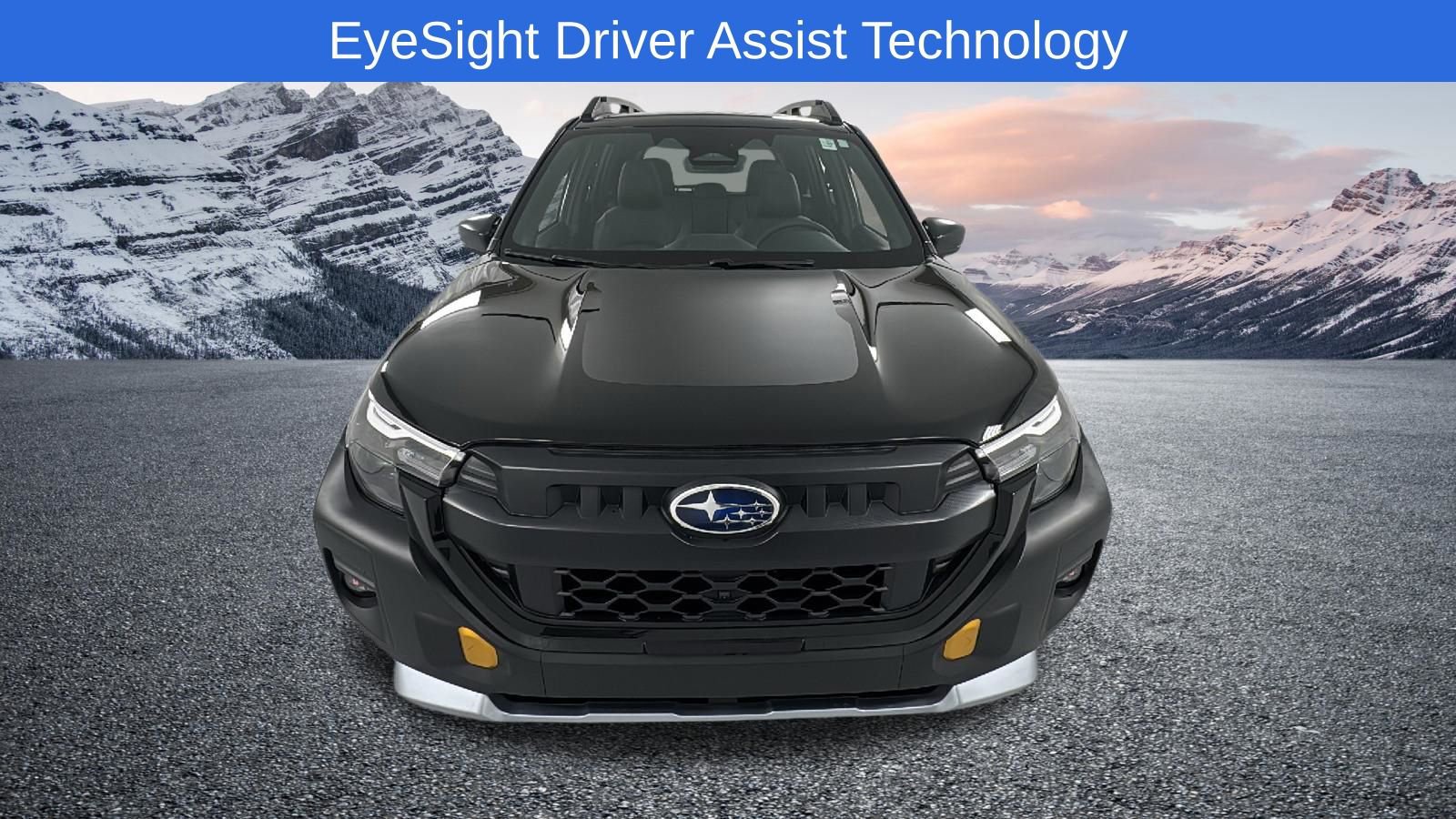 New 2026 Subaru Forester Wilderness AWD/4WD image 8