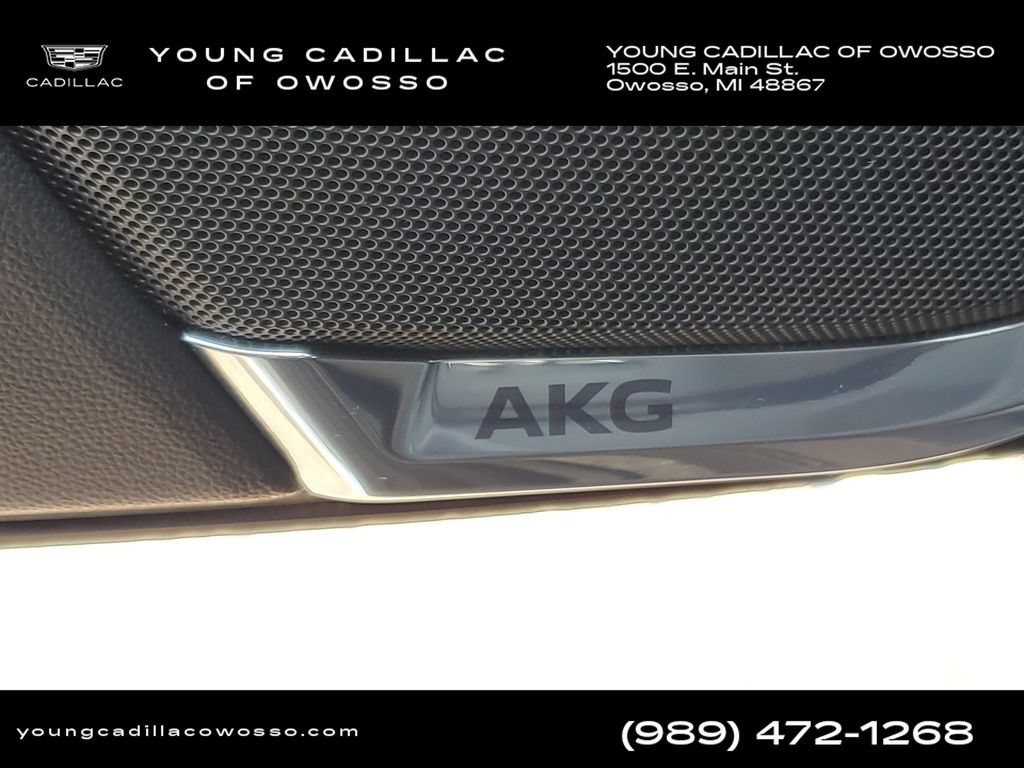 Used 2023 Cadillac Escalade ESV Sport Platinum w/ LPO, ONYX Package AWD/4WD image 26