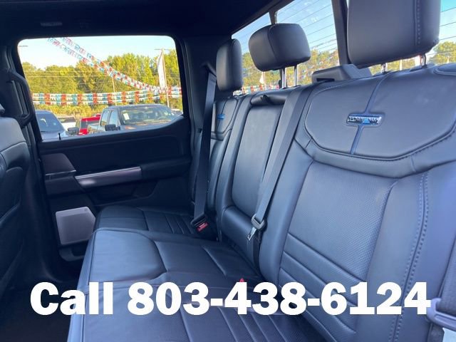 New 2026 Ford F250 Platinum image 13