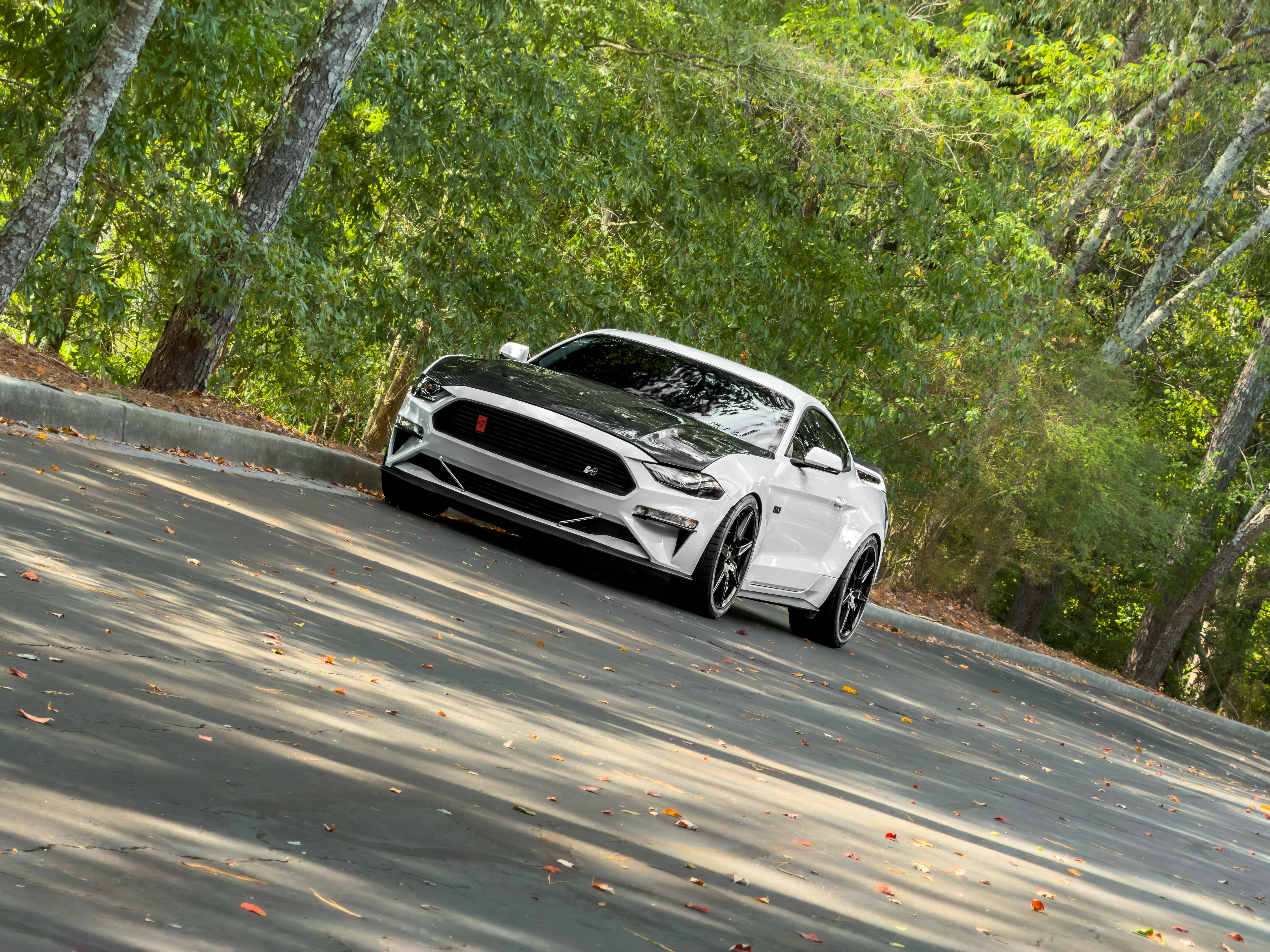 Used 2019 Ford Mustang GT Premium w/ GT Performance Package RWD image 44
