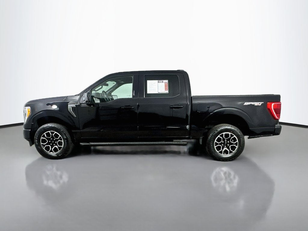 Used 2023 Ford F150 XLT w/ Equipment Group 302A High AWD/4WD image 5