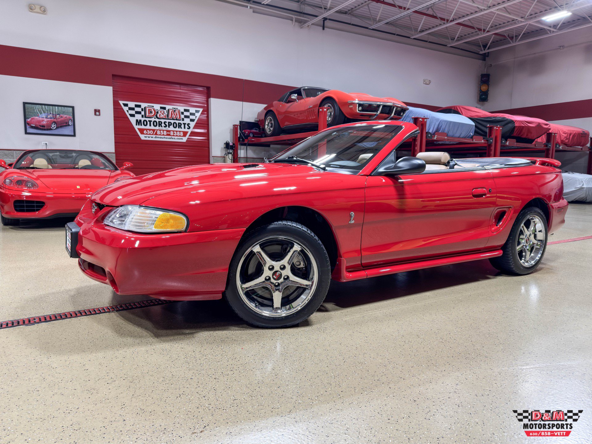 Used 1997 Ford Mustang SVT Cobra RWD image 1