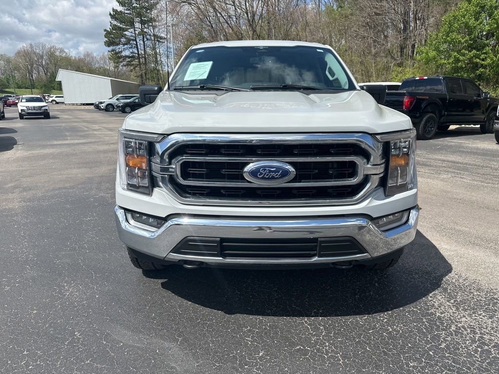 Used 2023 Ford F150 XLT w/ Equipment Group 302A High image 8