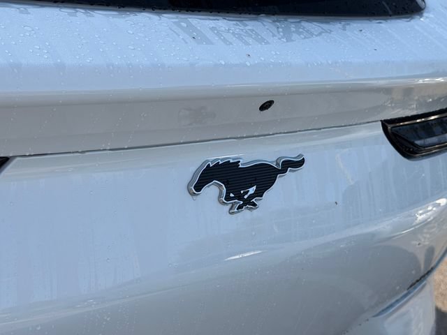 Used 2026 Ford Mustang Mach-E Premium RWD image 14