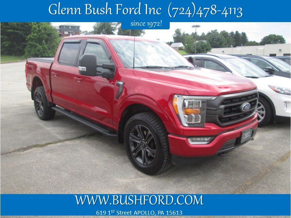 Used 2022 Ford F150 XLT w/ Equipment Group 302A High AWD/4WD image 1