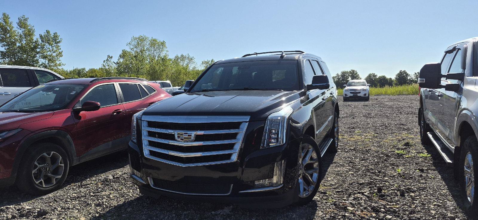 Used 2020 Cadillac Escalade Luxury AWD/4WD image 1