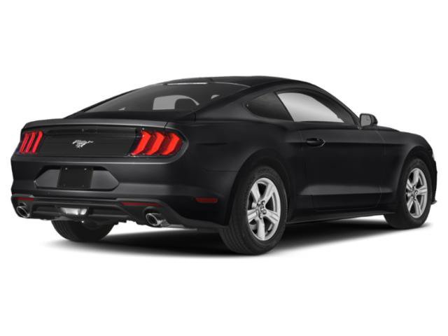Used 2019 Ford Mustang Premium w/ Black Accent Package RWD image 5