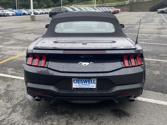 Used 2024 Ford Mustang Premium image 6
