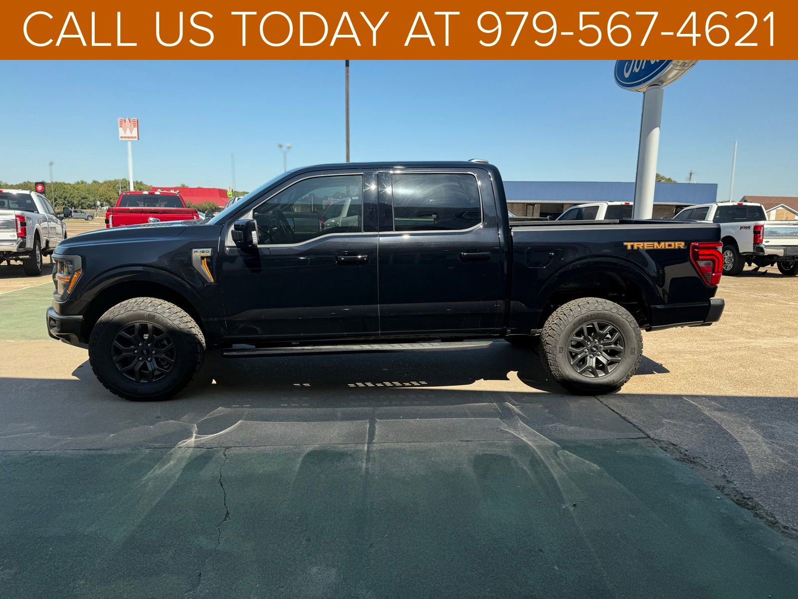 New 2025 Ford F150 Tremor image 42